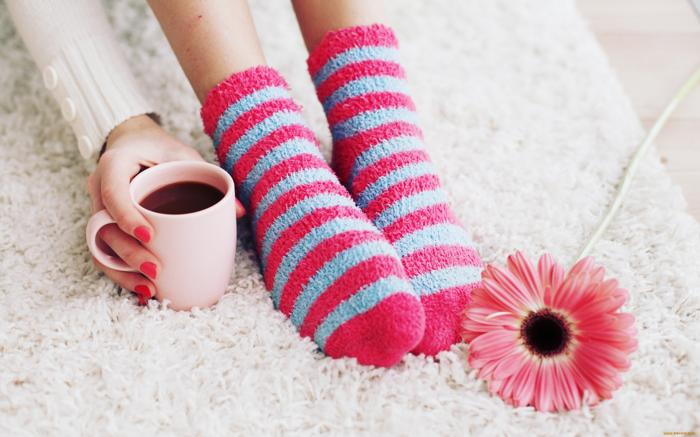 , , cup, socks, , , , , coffee, 